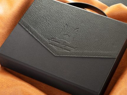 Kinera Fenrir Multifunction HiFi Equipment Case