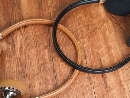 ROSESELSA Distant Mountain 40mm Diaphragm Driver Headphone